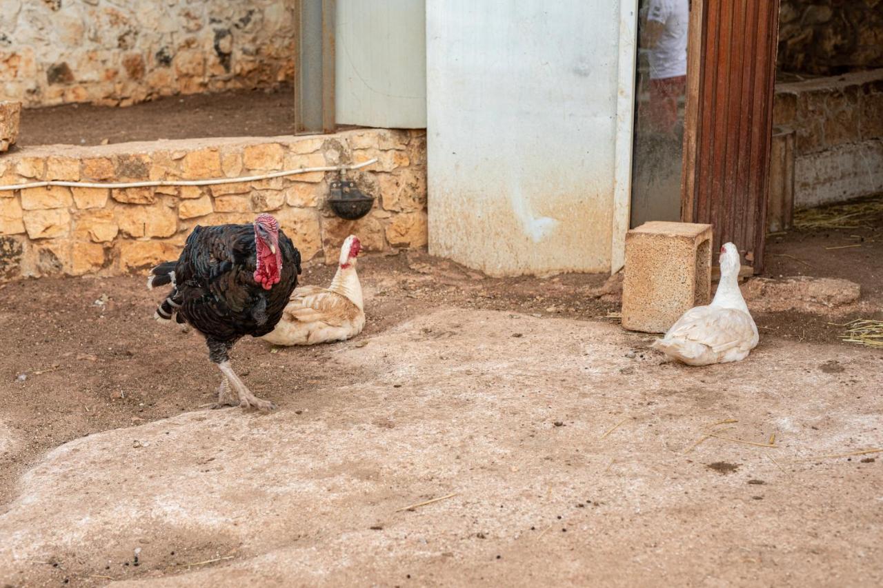 קרוביניו Agriturismo Dea Cerere מראה חיצוני תמונה