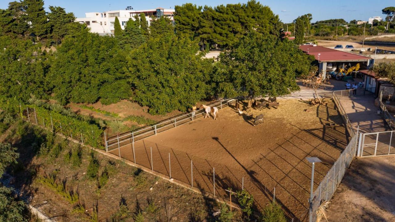 קרוביניו Agriturismo Dea Cerere מראה חיצוני תמונה