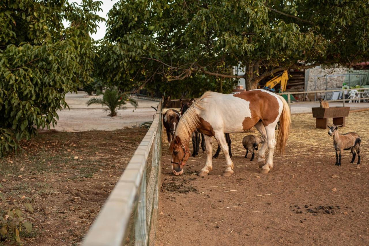 קרוביניו Agriturismo Dea Cerere מראה חיצוני תמונה