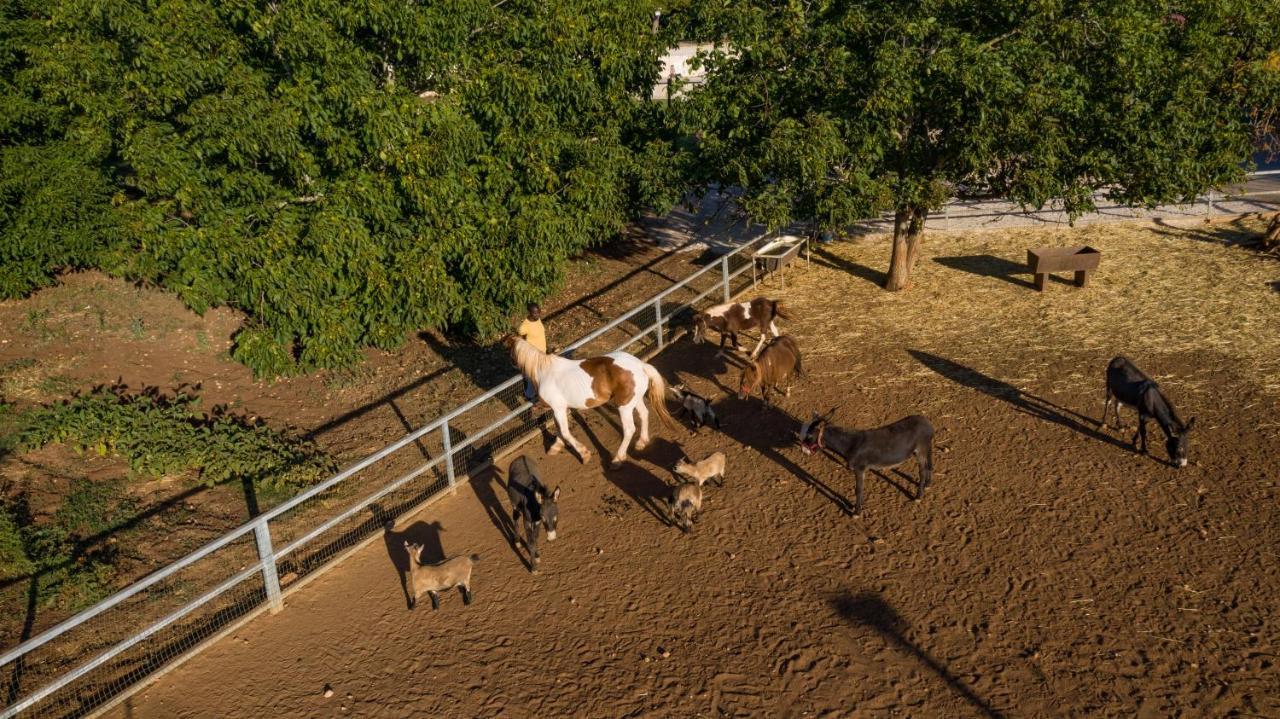קרוביניו Agriturismo Dea Cerere מראה חיצוני תמונה