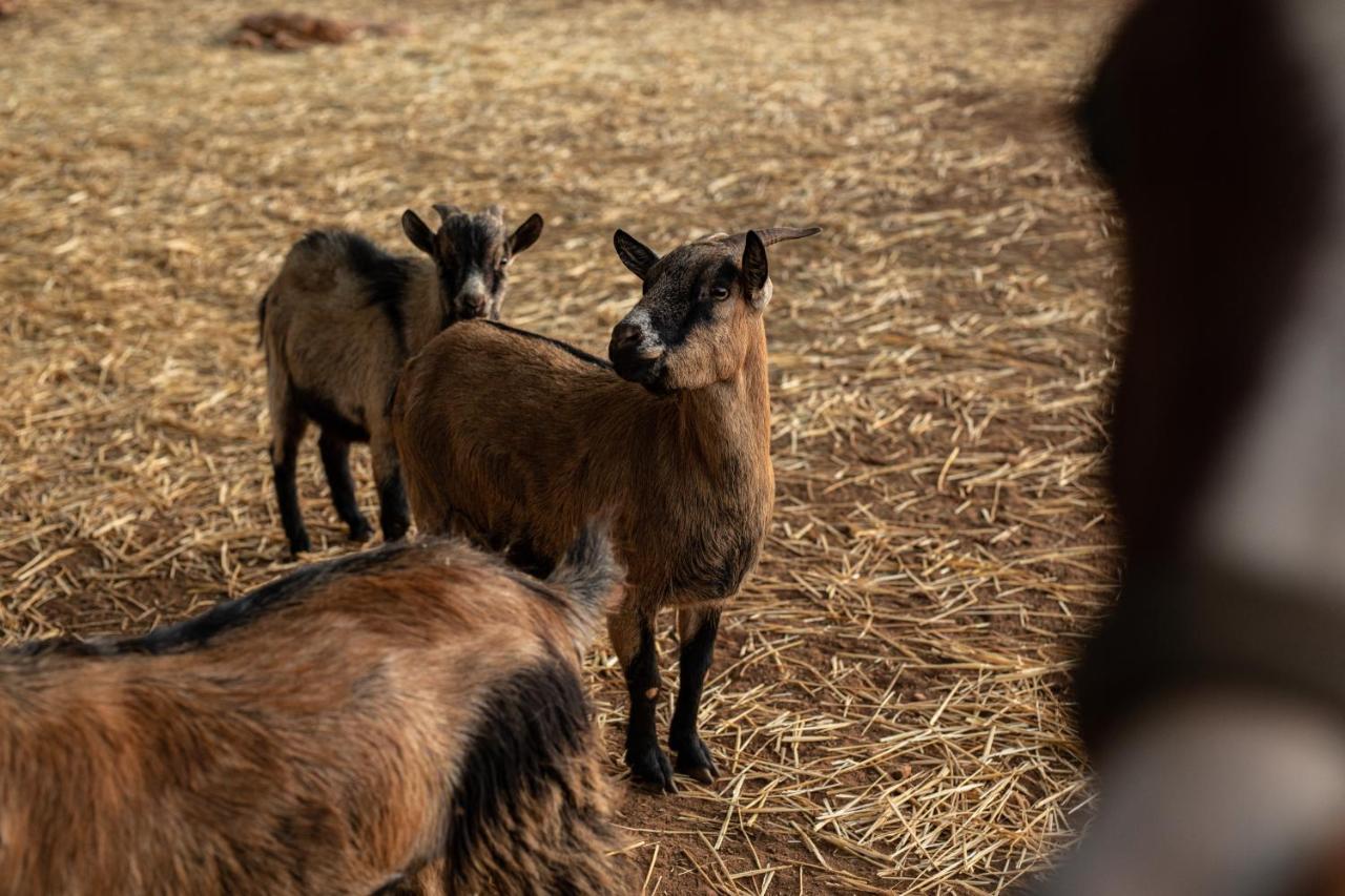קרוביניו Agriturismo Dea Cerere מראה חיצוני תמונה